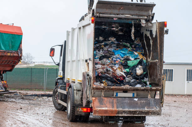 Best Recycling Services for Junk  in Palm Springs North, FL